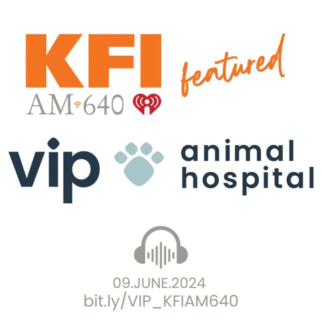 VIP Animal Hospital - Interview